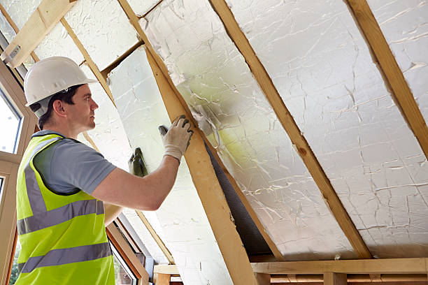 Best DIY Insulation Kits and Guidance in Throop, PA