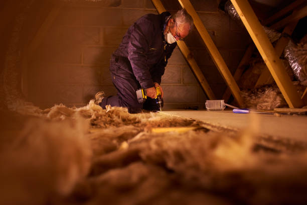 Best Eco-Friendly Insulation in Throop, PA